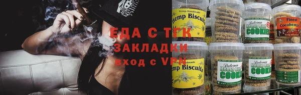 индика Саяногорск