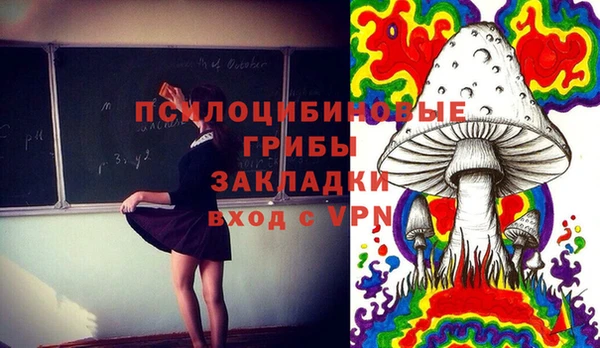 mix Белокуриха
