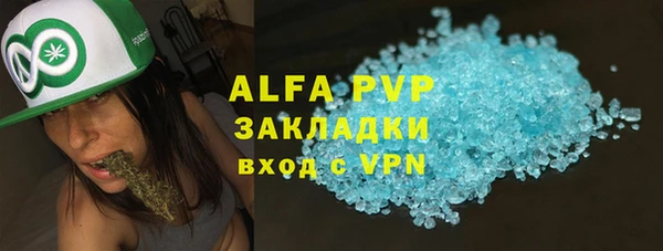индика Саяногорск