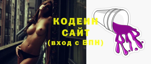 сатива Сатка