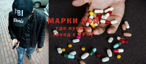 сатива Сатка