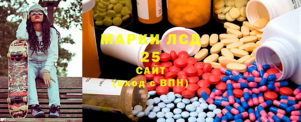 индика Саяногорск