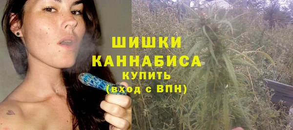 сатива Сатка