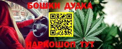 альфа пвп Заводоуковск