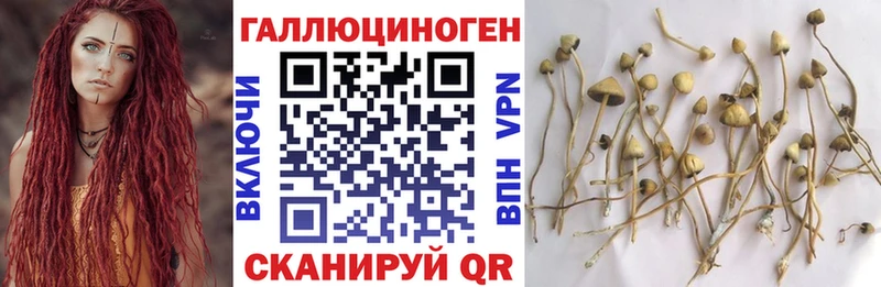 ОМГ ОМГ маркетплейс  сколько стоит  Кунгур  Псилоцибиновые грибы мухоморы 