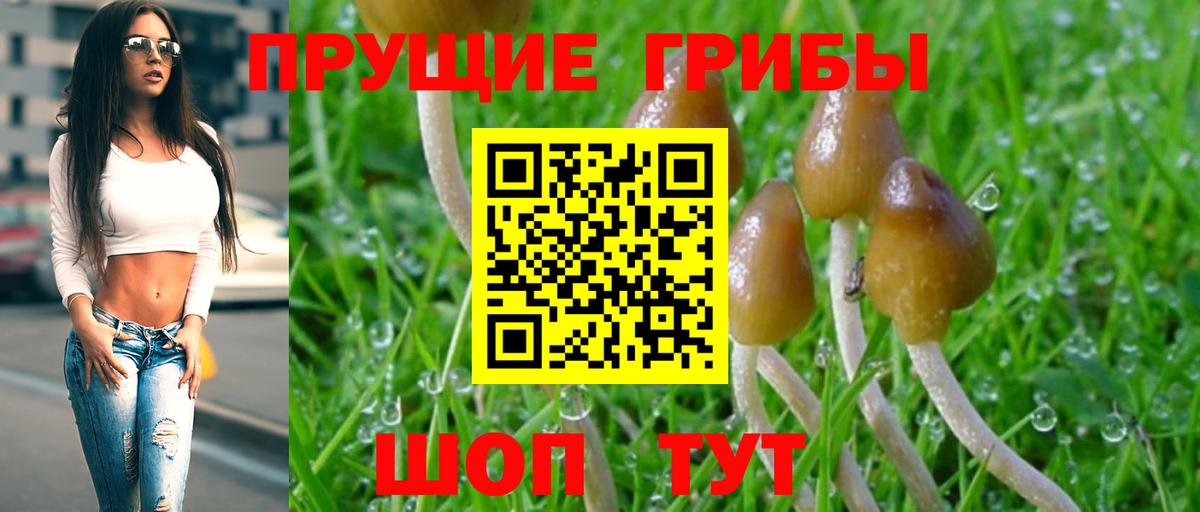 Псилоцибиновые грибы мухоморы Кунгур