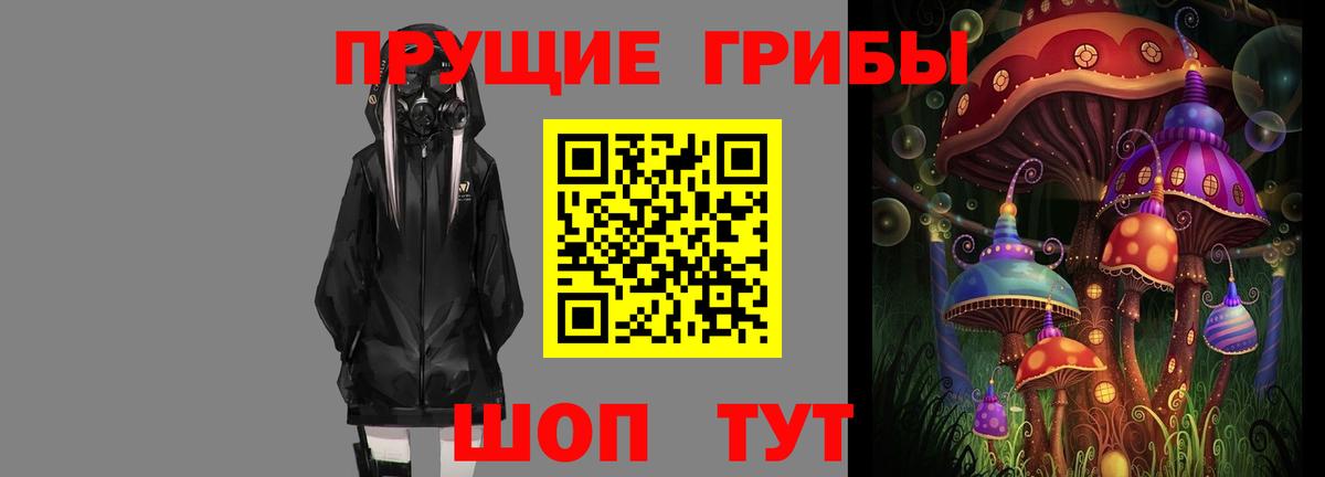 Галлюциногенные грибы Psilocybe  Вход с VPN  Кунгур 